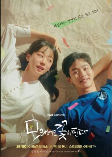 모래에도 꽃이 핀다