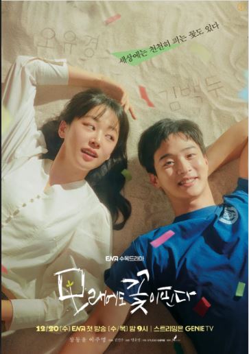 모래꽃.JPG