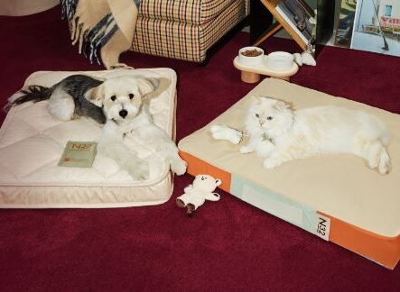 시몬스침대 펫매트리스